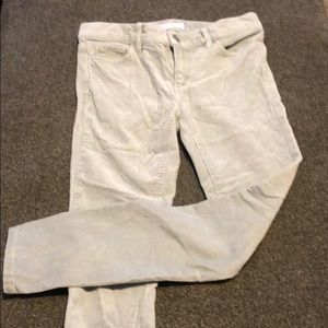 Loft Pants
